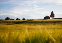 Nieruchomości i własny dom