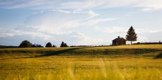 Nieruchomości i własny dom