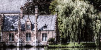 Trendy w budownictwie jednorodzinnym