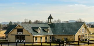 Działka całoroczna