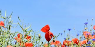 Nowoczesne technologie