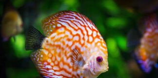 Ile prądu pobierze akwarium?