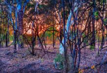 Czy swap silnika jest trudny?