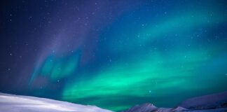 Czy sok z jagód jest dobry na przeziębienie?