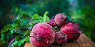 Czy burak to jarzyna?