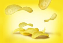 Jakie dane są zapisane na chipie psa?