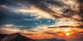 Ile kosztuje godzina pracy elektryka samochodowego?