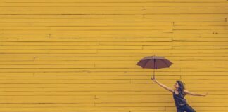 Jak się nazywają żółte grzyby?