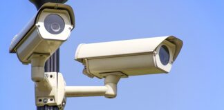 Ile kosztuje rejestracja chipa?