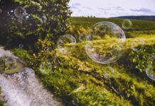 Czego nie wrzucać do blendera?