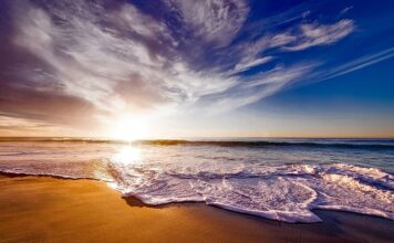 Co daje picie wody z cytryną i imbirem?