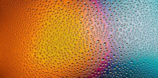 Czy powinno się myć jajka?