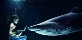 Ile kosztuje jajko od gospodarza?