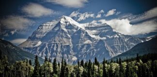 Jak prawidłowo zamontować szczęki hamulcowe?