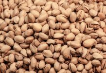 Jak zrobić chipsy z jarmużu na patelni?