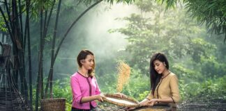 Czego po czym nie siać?