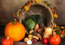 Czy dynia to jest owoc?