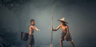 Czy woda utleniona zabija ryby?