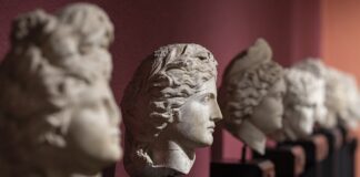 Jak rozpoznać jakość jajek?