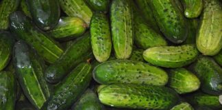 Czy można obrywać liście z ogórków?