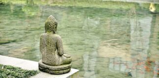 Ile kosztuje wymiana całej instalacji elektrycznej w samochodzie?