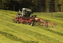 Ile trzeba jelit na 10 kg mięsa?