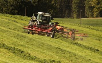 Ile trzeba jelit na 10 kg mięsa?