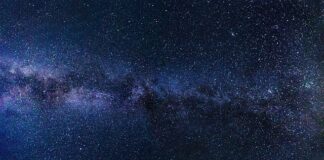 Czy graham to ciemne pieczywo?