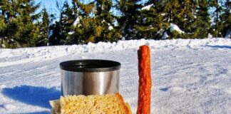 Z jakich jelit robi się kabanosy?