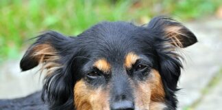 Co jest dobre na zasypianie?