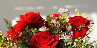 Ile kosztuje najdroższy jajko w Polsce?