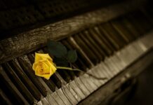 Jaki organ budzi o 4 w nocy?