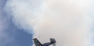 Czy E 300 jest szkodliwe? Czy E 300 jest szkodliwe?