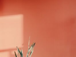 Fotele glamour do salonu z kryształkami